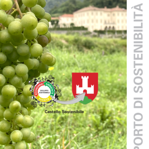 1° Rapporto di sostenibilità (ambientale) di Castel San Pietro