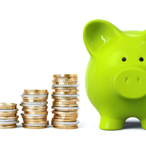 INVESTIMENTI SOSTENIBILI - Un'interessante conferenza sul tema