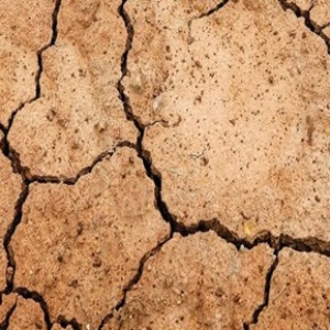 Utilizziamo l'acqua potabile con parsimonia!