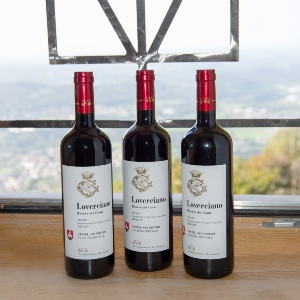 Ritiro delle bottiglie ordinate del vino comunale dell'annata 2020