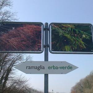 Discarica scarti vegetali